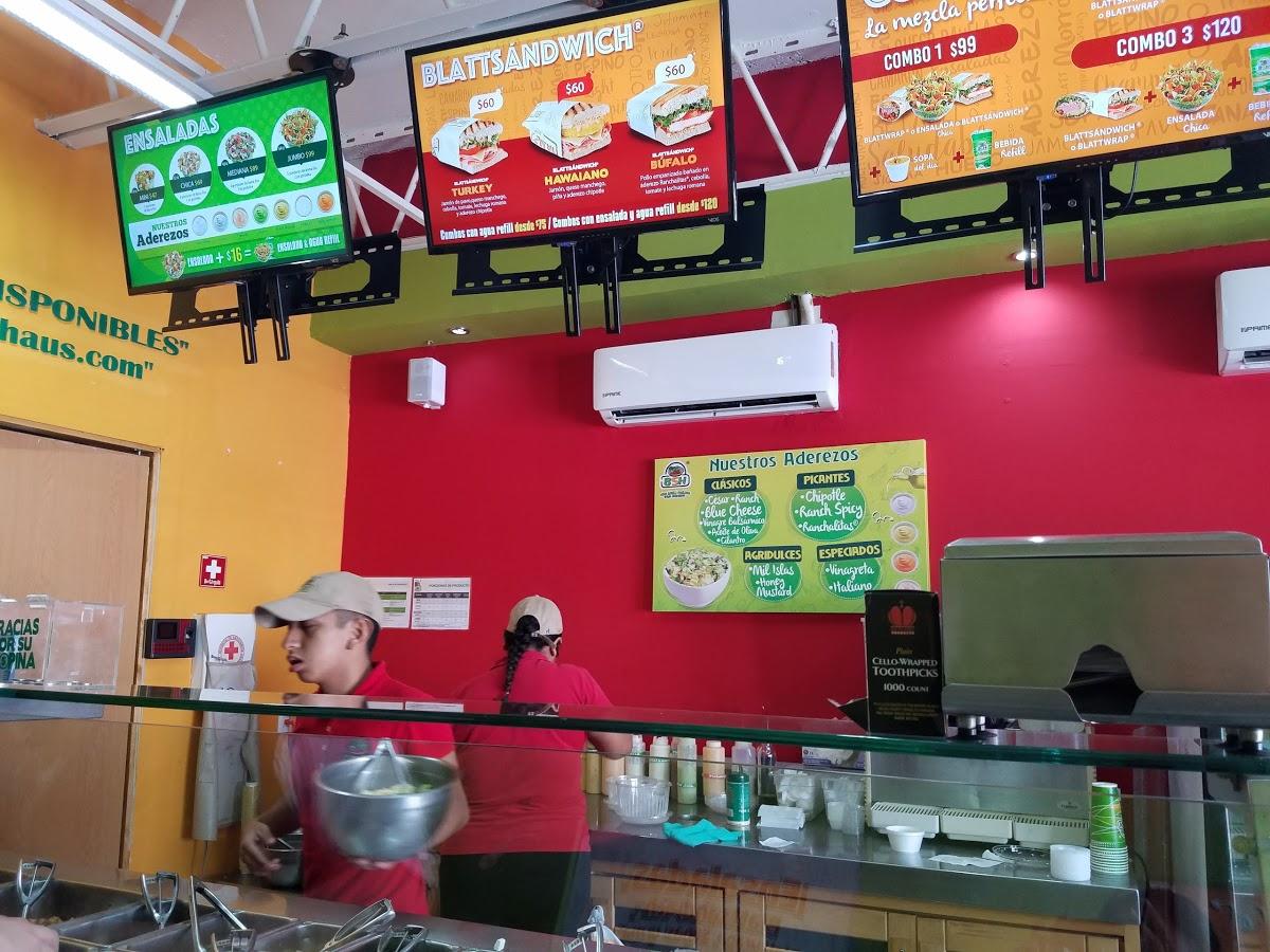 BLATT SALAT HAUS portada