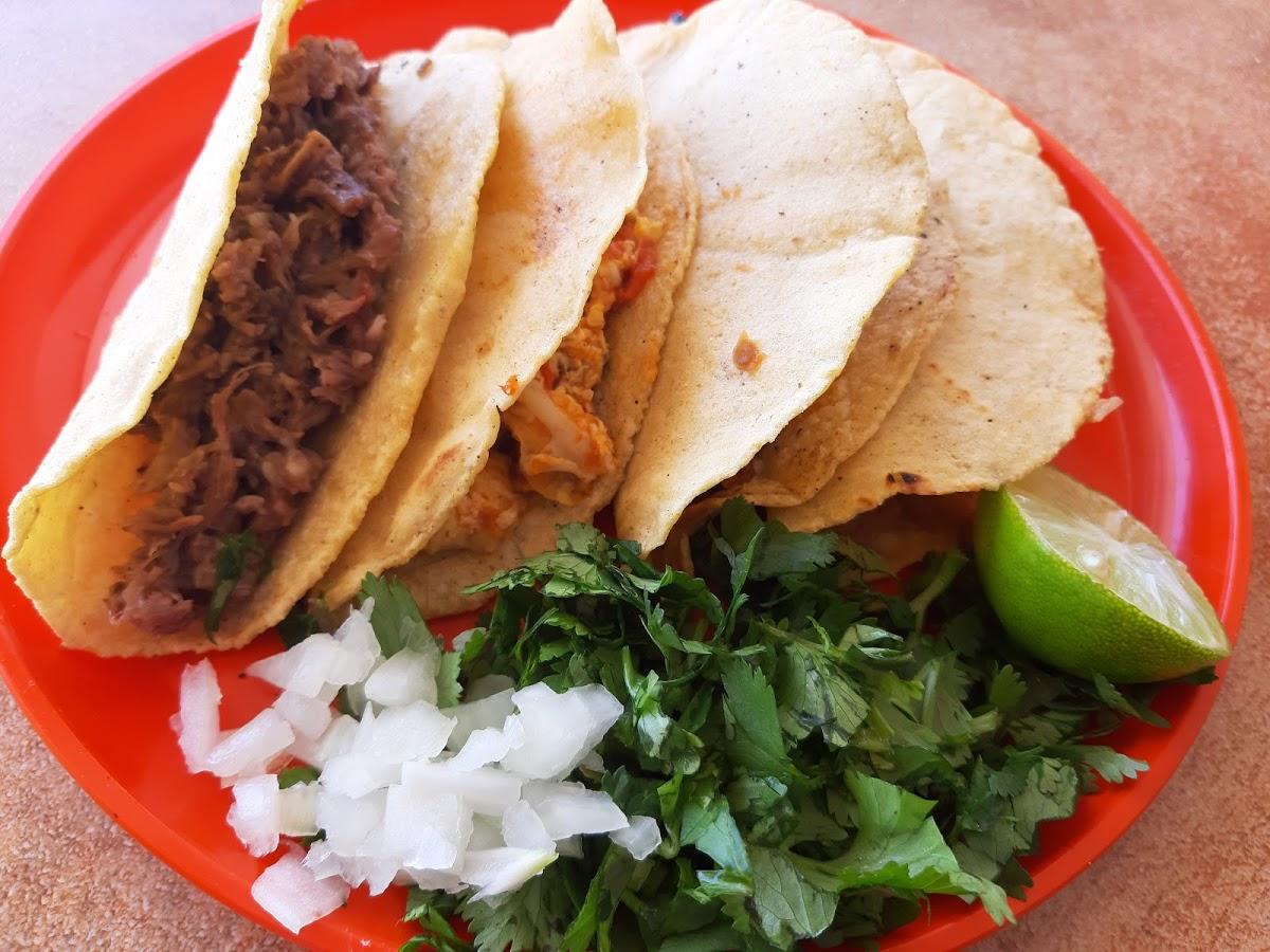 Taqueria Los Doraditos portada